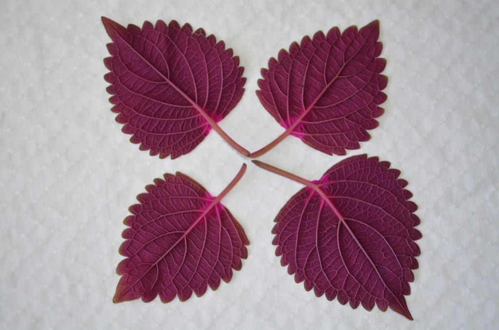 Centre d'appel pour consultant marketing à Bordeaux