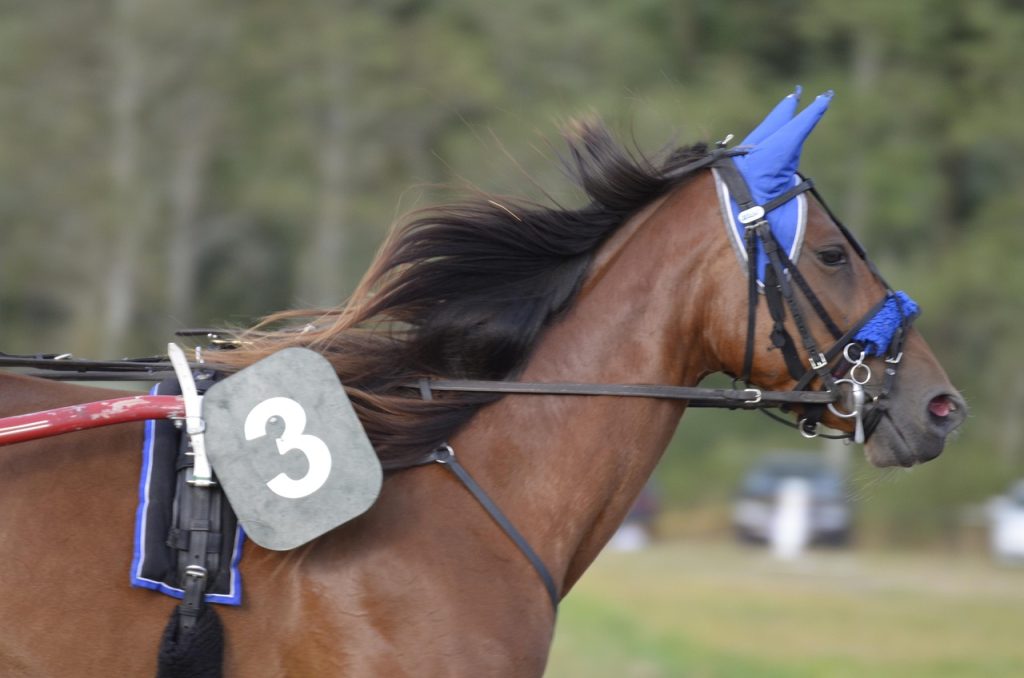 Call center pour expert ads à Rennes