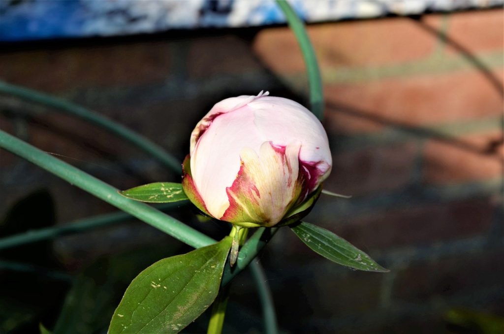 Call center pour agence marketing à Nice