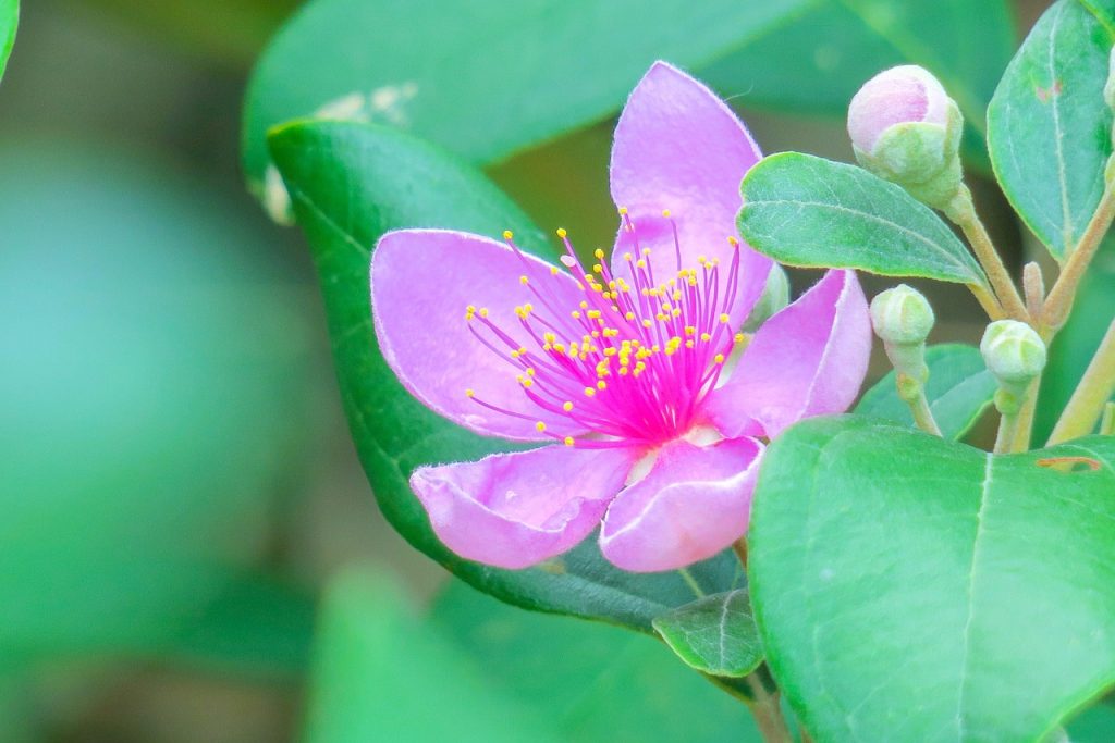 Centre d'appel pour expert ads à Nîmes