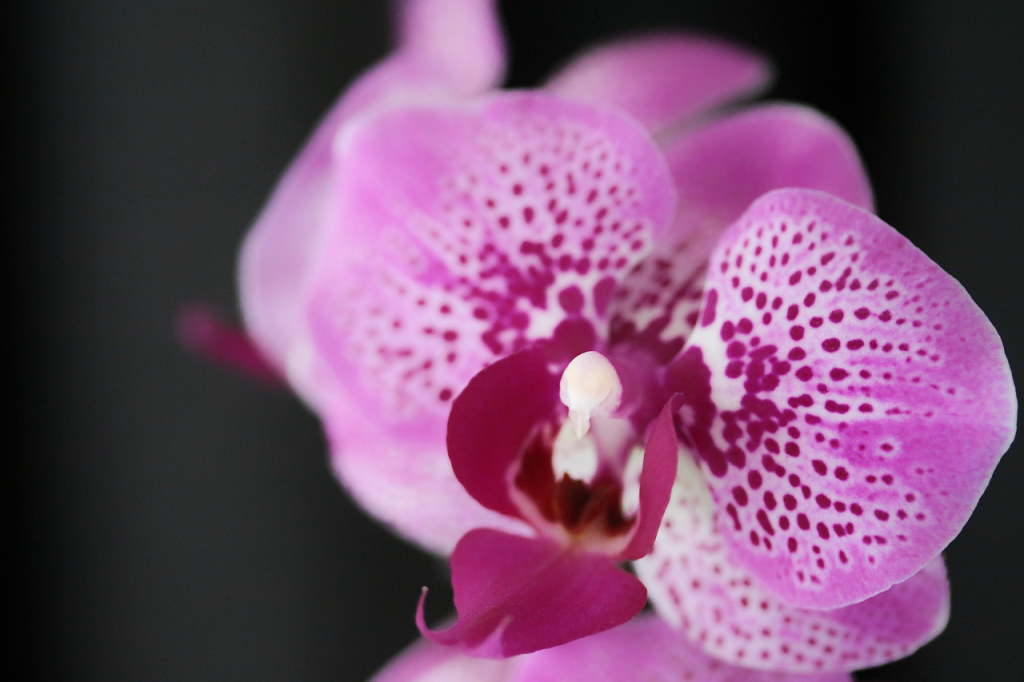 Prise de rendez vous qualifié pour agence marketing à Nice