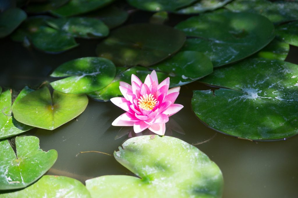 Prise de rendez vous qualifié pour consultant marketing à Nîmes